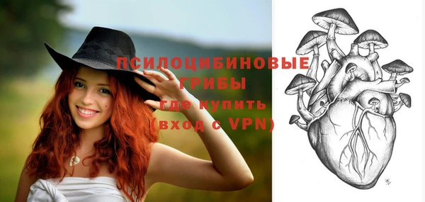 первитин Вяземский