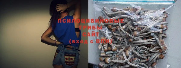 спиды Вязьма