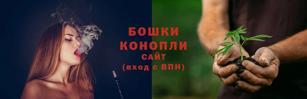 первитин Вяземский