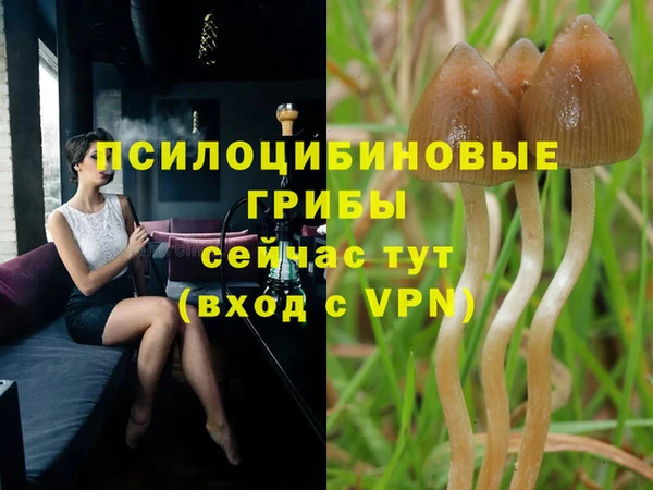 прущая мука Горнозаводск
