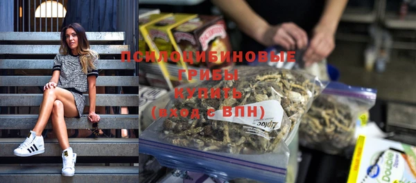 спиды Вязьма