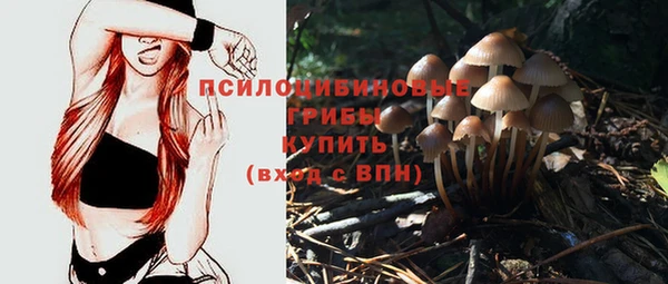 героин Горняк