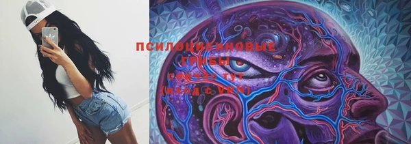 первитин Вяземский