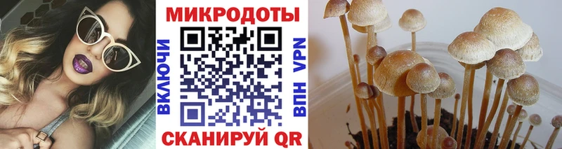 Псилоцибиновые грибы прущие грибы Калязин