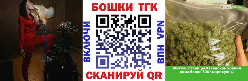 Бошки Шишки планчик Калязин